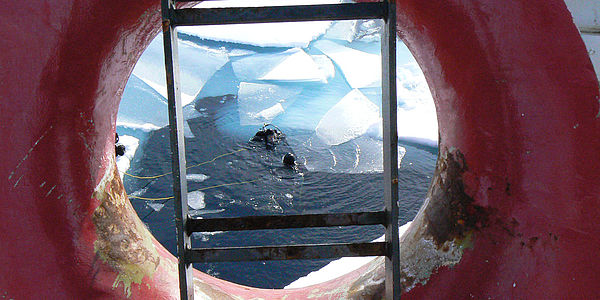 Eistauchen Blick Durch Leiter Fdfa