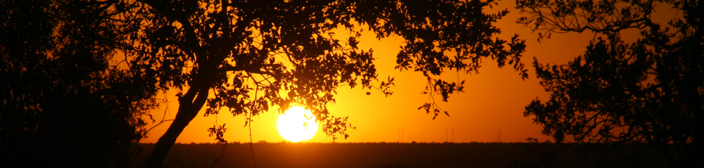 Sonnenuntergang Sehr Schmal Quer